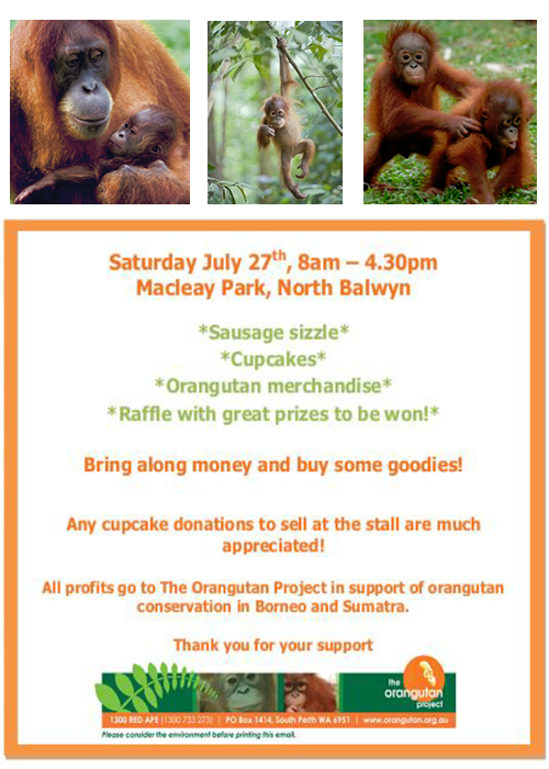 flyer orangutan help day